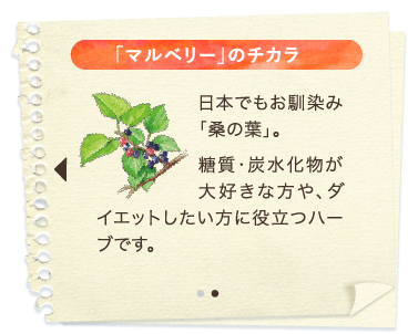 「マルベリー」のチカラ