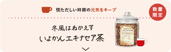 慌ただしい時期の元気をキープ 冬風はねかえす いよかんエキナセア茶 数量限定