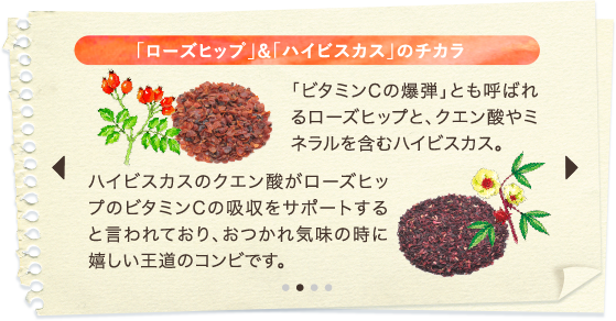 「ローズヒップ」&「ハイビスカス」のチカラ