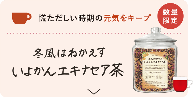 慌ただしい時期の元気をキープ 冬風はねかえす いよかんエキナセア茶 数量限定