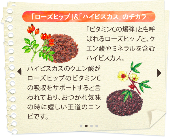 「ローズヒップ」&「ハイビスカス」のチカラ