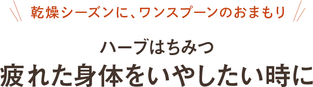 乾燥シーズンに、ワンスプーンのおまもり ハーブはちみつ 疲れた身体をいやしたい時に