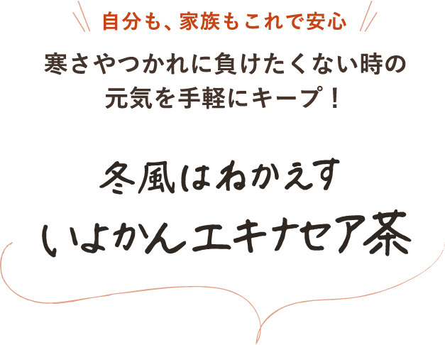 自分も、家族もこれで安心 寒さやつかれに負けたくない時の元気を、手軽にキープ！冬風はねかえす いよかんエキナセア茶