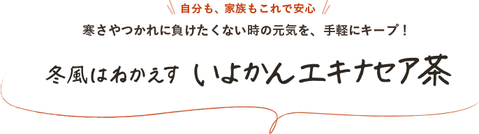 自分も、家族もこれで安心 寒さやつかれに負けたくない時の元気を、手軽にキープ！冬風はねかえす いよかんエキナセア茶