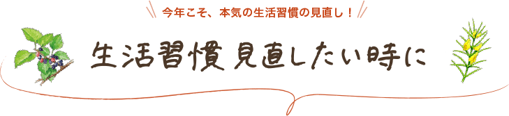 今年こそ、本気の生活習慣の見直し！生活習慣見直したい時に