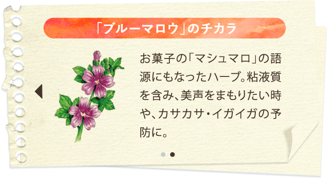 「ブルーマロウ」のチカラ