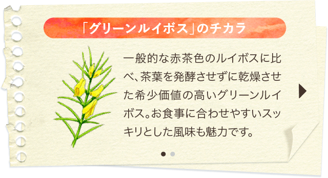 「グリーンルイボス」のチカラ