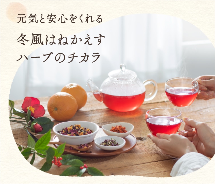 元気と安心をくれる冬風はねかえすハーブのチカラ