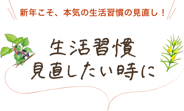 新年こそ、本気の生活習慣の見直し！生活習慣見直したい時に