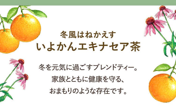 冬風はねかえす いよかんエキナセア茶 冬を元気に過ごすブレンドティー。家族とともに健康を守る、おまもりのような存在です。