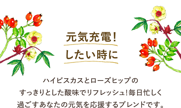 元気充電！したい時に ハイビスカスとローズヒップのすっきりとした酸味でリフレッシュ！毎日忙しく過ごすあなたの元気を応援するブレンドです。