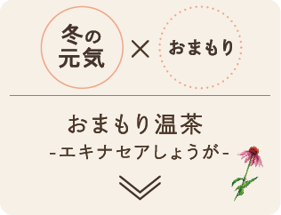 冬の元気 おまもり温茶-エキナセアしょうが-