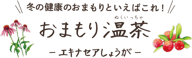 冬の健康のおまもりといえばこれ！おまもり温茶-エキナセアしょうが-