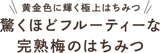 黄金色に輝く極上はちみつ 驚くほどフルーティーな完熟梅のはちみつ