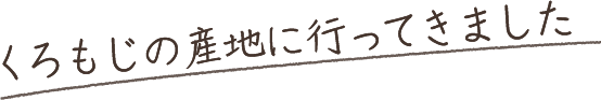 くろもじの産地に行ってきました