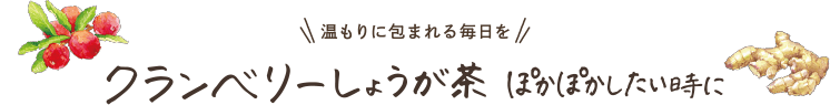 温もりに包まれる毎日を クランベリーしょうが茶 ぽかぽかしたい時に