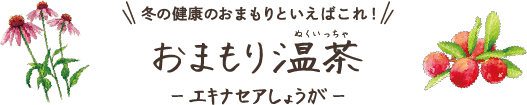 冬の健康のおまもりといえばこれ！おまもり温茶-エキナセアしょうが-