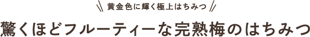 黄金色に輝く極上はちみつ 驚くほどフルーティーな完熟梅のはちみつ