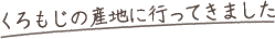 くろもじの産地に行ってきました