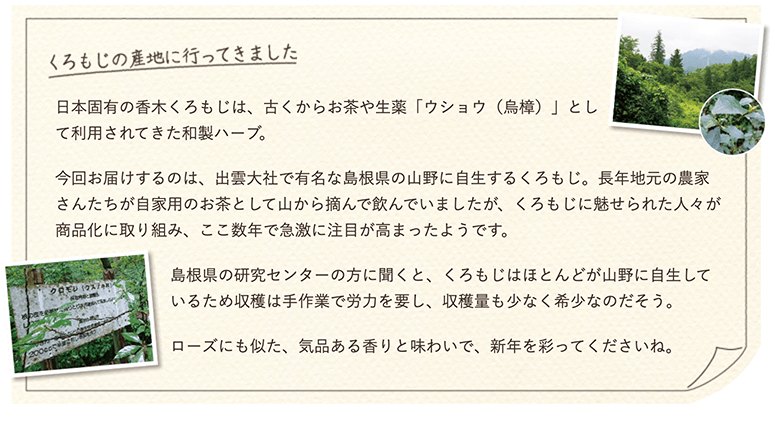 日本固有の香木くろもじは古くからお茶や生薬「ウショウ（烏樟）」として利用されてきた和製ハーブ