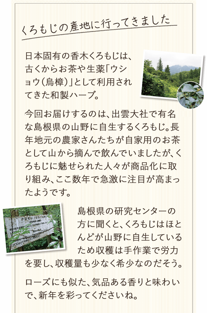 日本固有の香木くろもじは古くからお茶や生薬「ウショウ（烏樟）」として利用されてきた和製ハーブ