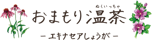 おまもり温茶-エキナセアしょうが-