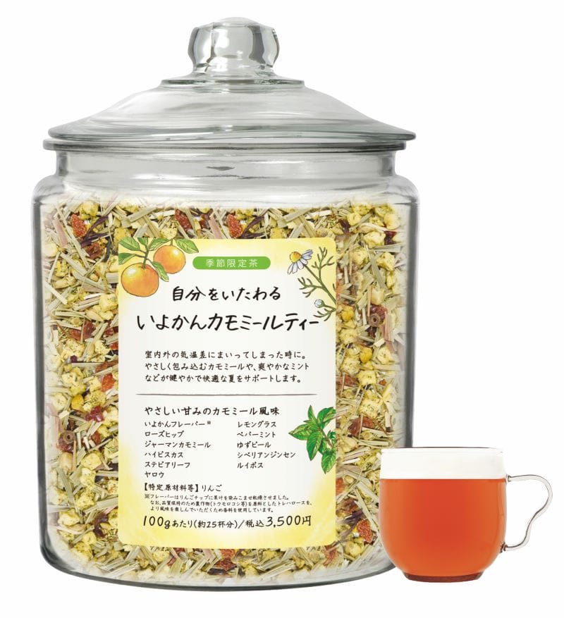 ［限定］自分をいたわる いよかんカモミールティー