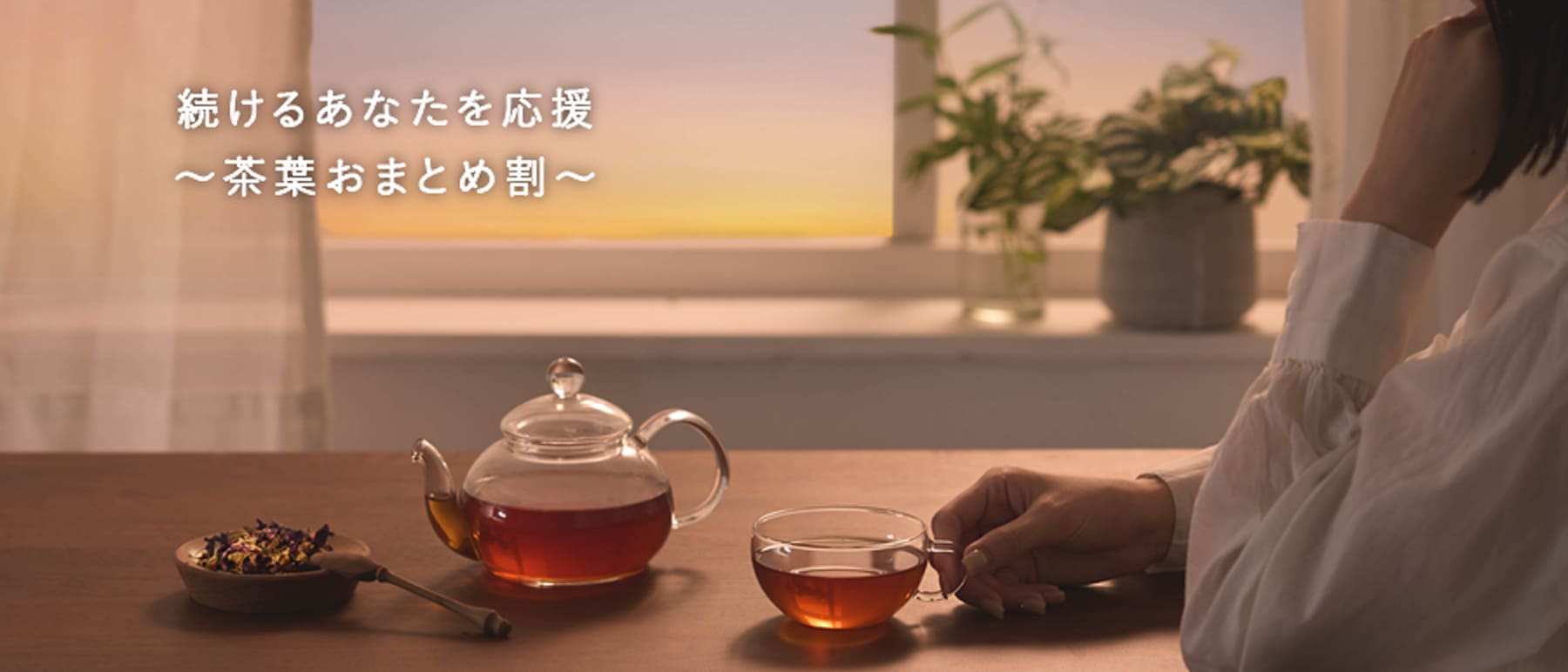 季節のおすすめハーブティーおまとめ割