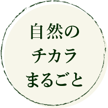 自然のチカラまるごと