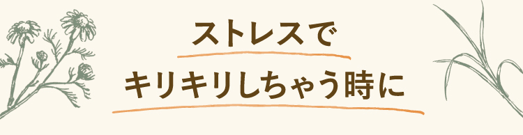ストレスでキリキリしちゃう時に