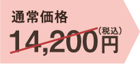 通常価格14,200円