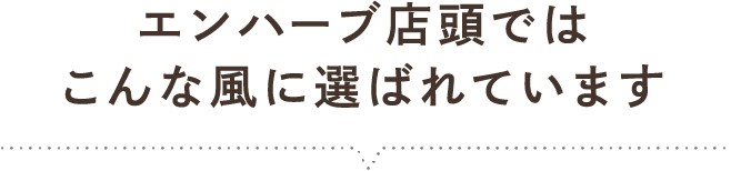 エンハーブ店頭ではこんな風に選ばれています