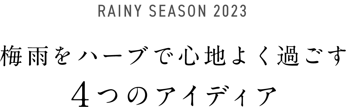 RAINY SEASON 2023 梅雨をハーブで心地よく過ごす4つのアイディア