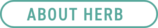 ABOUT HERB