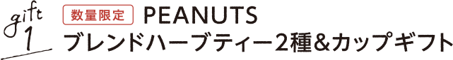 gift1 数量限定 PEANUTS ブレンドハーブティー2種&カップギフト