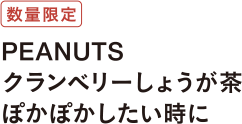 数量限定 PEANUTS クランベリー生姜茶 ぽかぽかしたい時に