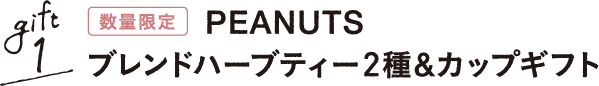 gift1 数量限定 PEANUTS ブレンドハーブティー2種&カップギフト