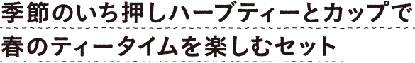 季節のいち押しハーブティーとカップで春のティータイムを楽しむセット