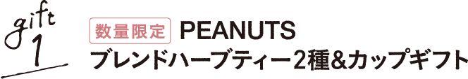 gift1 数量限定 PEANUTS ブレンドハーブティー2種&カップギフト