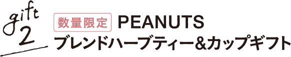 gift02 数量限定 PEANUTS ブレンドハーブティー&カップセット