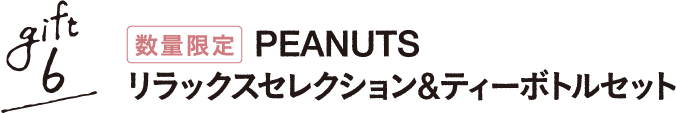 gift6 PEANUTS リラックスセレクション&ティーボトルセット