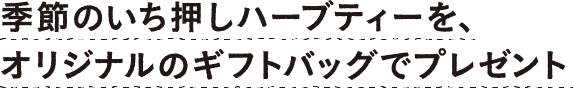 季節のいち押しハーブティーを、オリジナルのギフトバッグでプレゼント