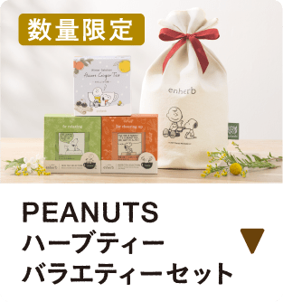 【数量限定】ハーブティーバラエティーセット