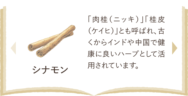 シナモン