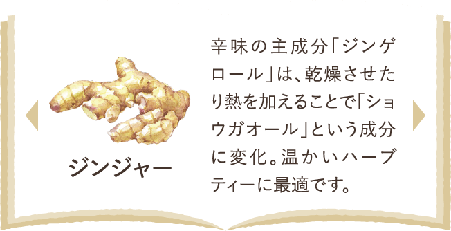 ジンジャー