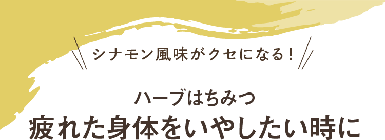 シナモン風味がクセになる！ハーブはちみつ 疲れた身体をいやしたい時に