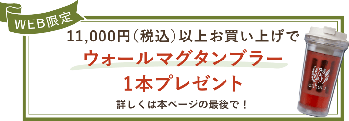WEB限定 11,000円(税込)以上お買い上げで「ウォールマグタンブラー」1本プレゼント