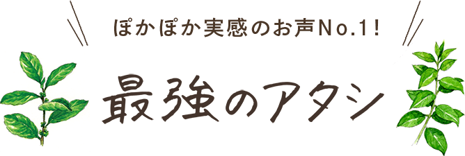 ぽかぽか実感のお声No.1！最強のアタシ