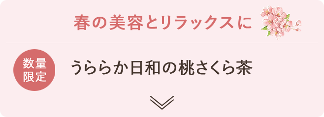 ハーブ専門店 Enherb 公式webサイト 春のハーブティー ギフト特集 サントリーグループのハーブ専門店 Enherb エンハーブ ハーブティー エッセンシャルオイル ハーブコスメ 株式会社コネクト