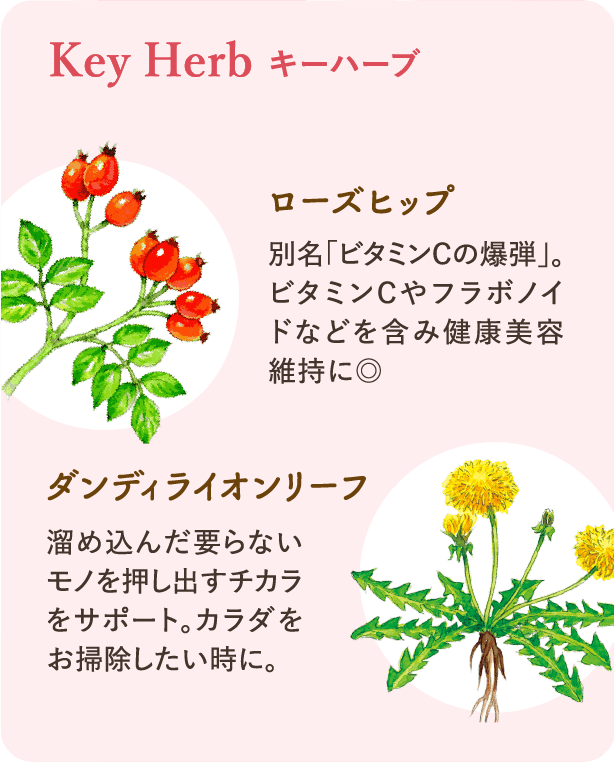 キーハーブ：ローズヒップ 別名「ビタミンCの爆弾」。ビタミンCやフラボノイドなどを含み健康美容維持に◎ ダンディライオンリーフ 溜め込んだ要らないモノを押し出すチカラをサポート。カラダをお掃除したい時に。